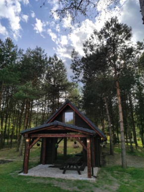 Dom Nad Stawem Krawno in Nowe Kiełbonki